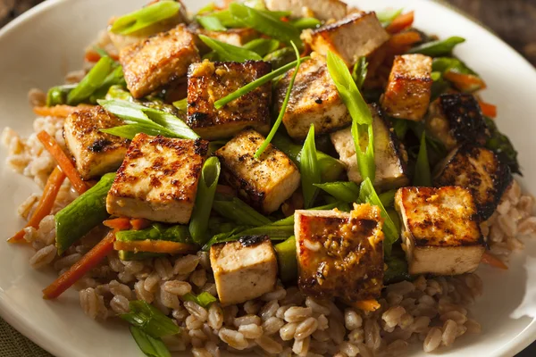 Domácí Tofu Stir Fry — Stock fotografie