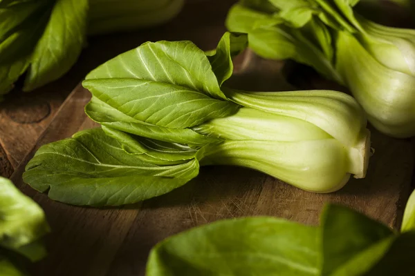 RAW ekologiczne Baby Bok Choy — Zdjęcie stockowe