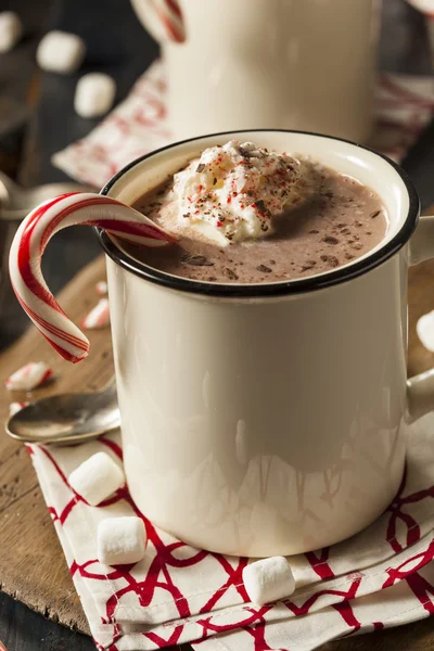 Chocolate caliente de menta casera — Foto de Stock