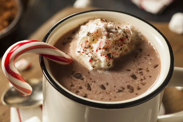 Zelfgemaakte pepermunt warme chocolademelk — Stockfoto