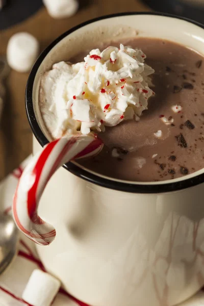 Zelfgemaakte pepermunt warme chocolademelk — Stockfoto