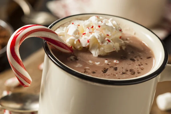 Zelfgemaakte pepermunt warme chocolademelk — Stockfoto