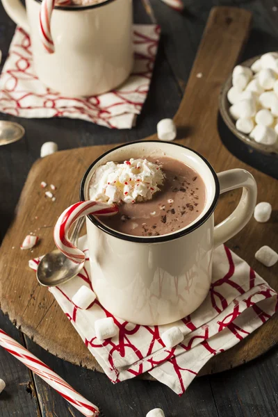 Chocolate caliente de menta casera — Foto de Stock