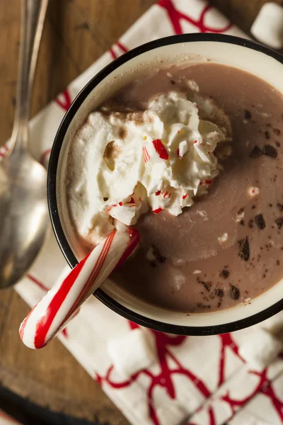 Homemade Peppermint Hot Chocolate — Stock Photo, Image