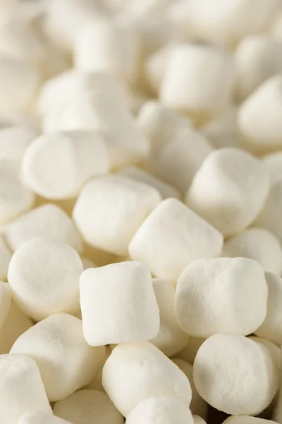 Valkoinen Mini vaahtokarkkeja Bowl — kuvapankkivalokuva