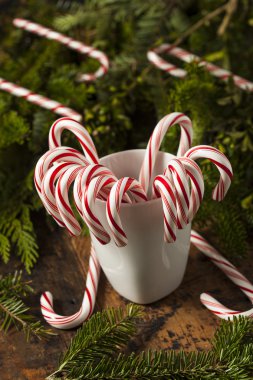 Festival naneli şekerler