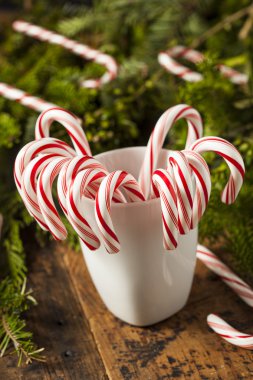 Festival naneli şekerler