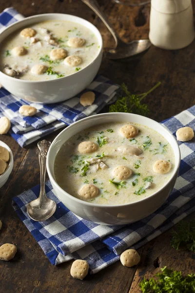 Homemade Oyster Stew with Parsley — Stock Photo, Image