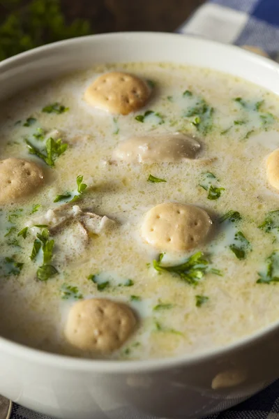 Homemade Oyster Stew with Parsley — Stock Photo, Image