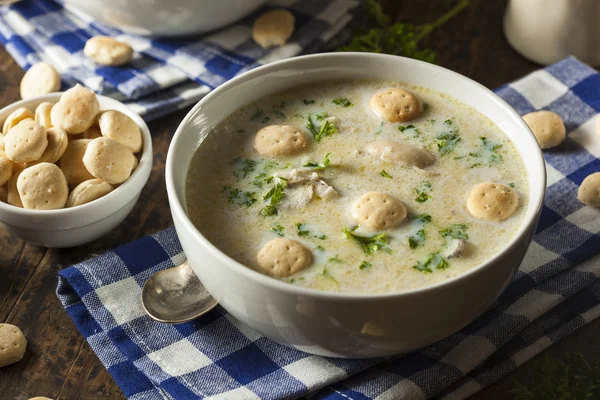 Zelfgemaakte Oyster stoofpot met peterselie — Stockfoto