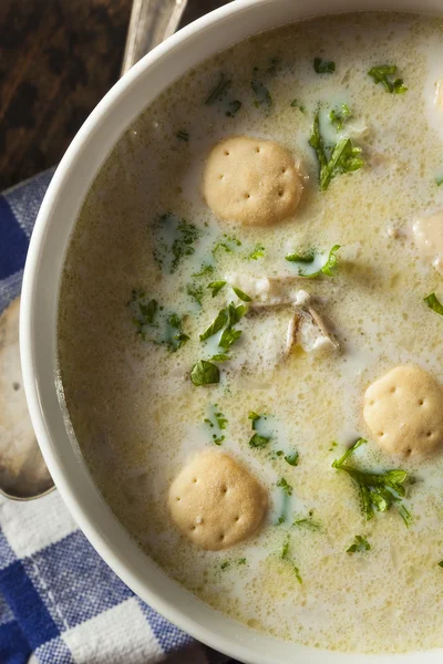 Homemade Oyster Stew with Parsley — Stock Photo, Image