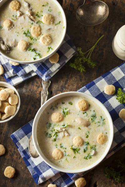 Homemade Oyster Stew with Parsley — Stock Photo, Image