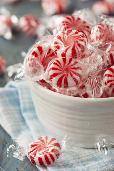 Doces de hortelã-pimenta vermelha e branca — Fotografia de Stock