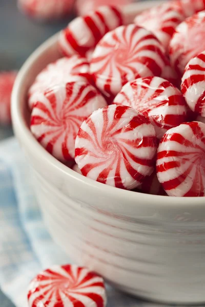 Doces de hortelã-pimenta vermelha e branca — Fotografia de Stock