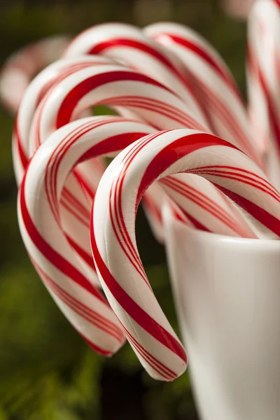 Canas de caramelo de menta festiva —  Fotos de Stock