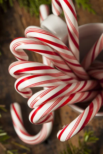 Festive Peppermint Candy Canes — Stock Photo, Image