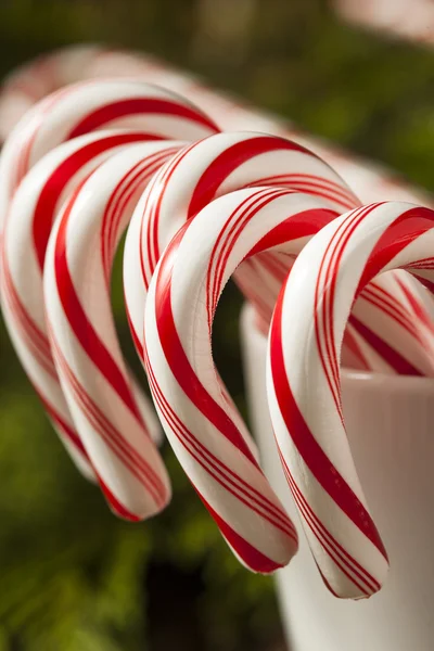 Festive Peppermint Candy Canes — Stock Photo, Image