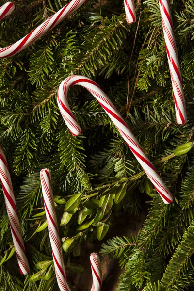 Festival naneli şekerler