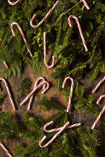 Festive Peppermint Candy Canes — Stock Photo, Image