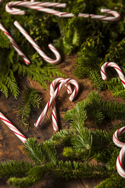 Canne da zucchero alla menta piperita festive — Foto Stock