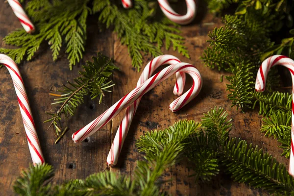 Festive bonbons à la menthe poivrée — Photo