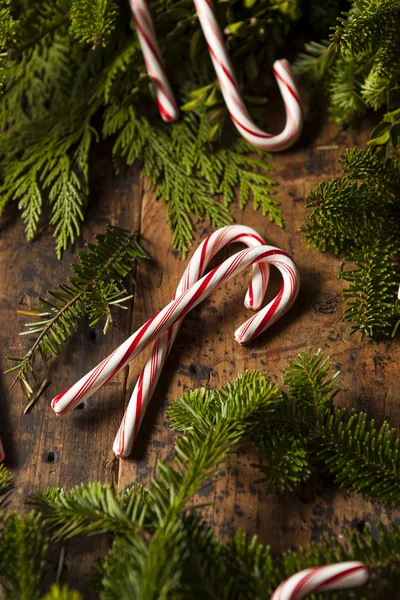 Canne da zucchero alla menta piperita festive — Foto Stock