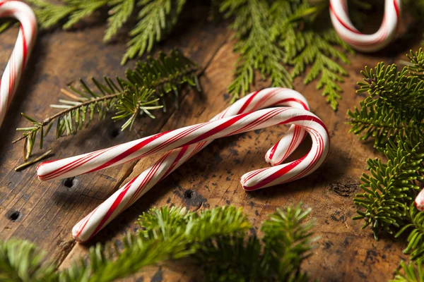 Festival naneli şekerler