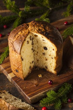 Ev yapımı Panettone meyveli kek