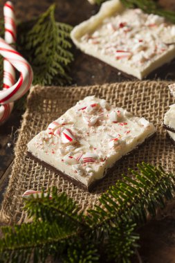 Ev yapımı tatil Nane kabuğu