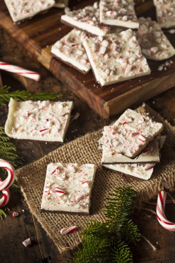 Ev yapımı tatil Nane kabuğu