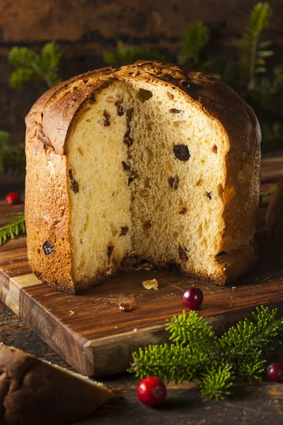 Ev yapımı Panettone meyveli kek — Stok fotoğraf