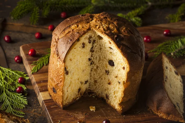 Homemade Panettone Fruit Cake — Stock Photo, Image