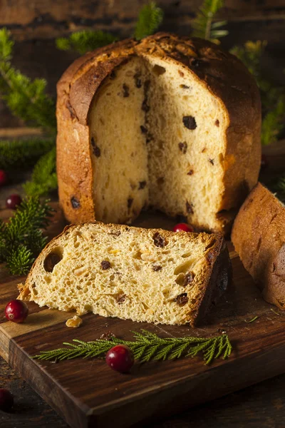 Homemade Panettone Fruit Cake — Stock Photo, Image