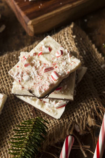 Homemade Holiday Peppermint Bark — Stock Photo, Image