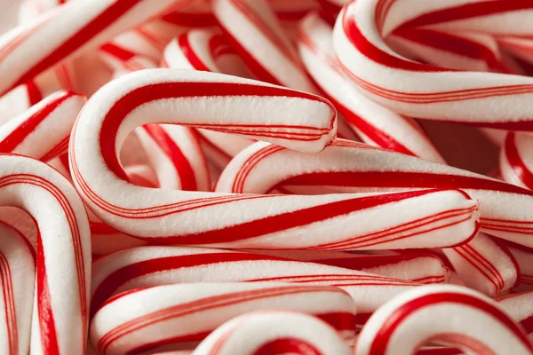 Red and White Mini Candy Canes — Stock Photo, Image