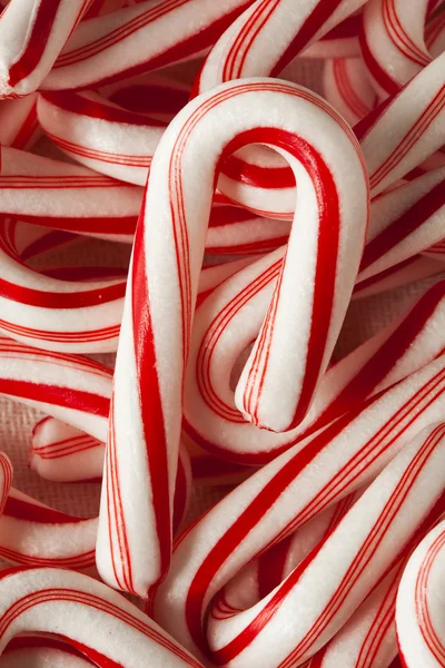 Red and White Mini Candy Canes — Stock Photo, Image