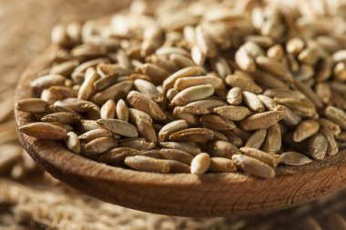 Organik Kuru ham çavdar tahıl