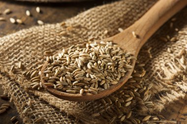 Organik Kuru ham çavdar tahıl