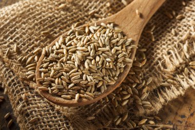 Organik Kuru ham çavdar tahıl