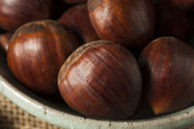 ham organik kahverengi kestane