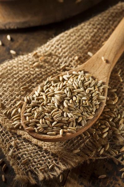 Organic Dry Raw Rye Grain — Stock Photo, Image