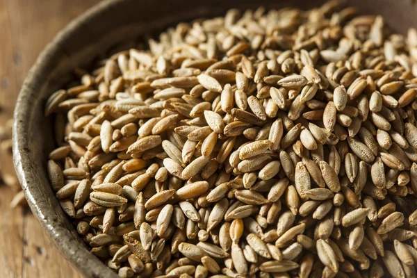 Organik Kuru ham çavdar tahıl