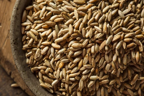 Organik Kuru ham çavdar tahıl