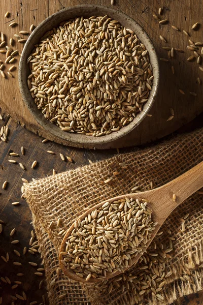 Organic Dry Raw Rye Grain — Stock Photo, Image