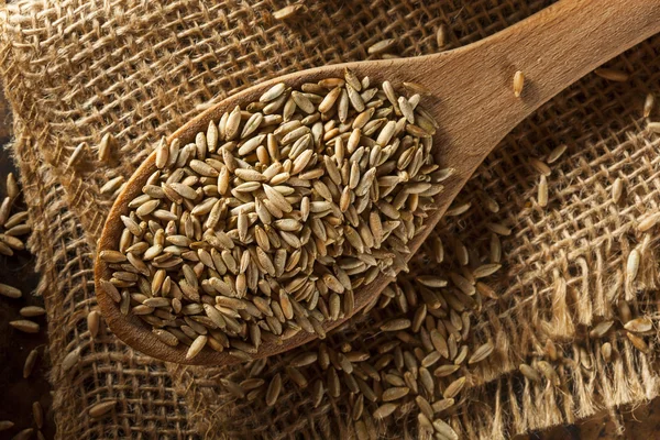 Organic Dry Raw Rye Grain — Stock Photo, Image