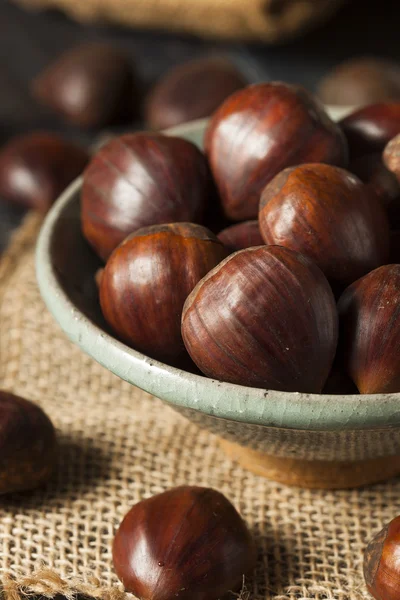 Raw Organic Brown Chestnuts — Stock Photo, Image