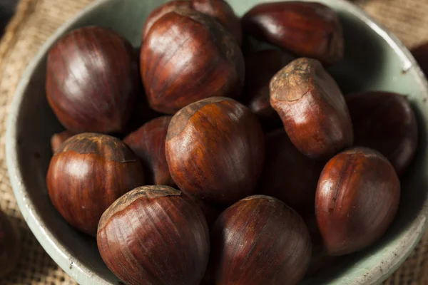 Rohe Bio-Kastanien — Stockfoto