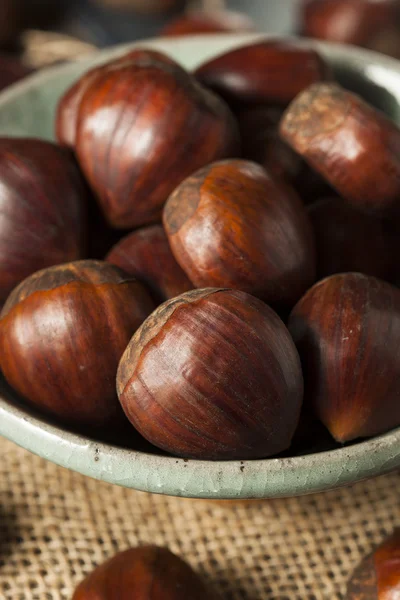 Raw Organic Brown Chestnuts — Stock Photo, Image