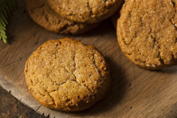 Homemade Brown Gingersnap Cookies — Stock Photo, Image