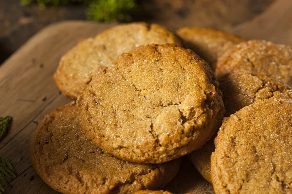 Soubory cookie domácí hnědá Gingersnap — Stock fotografie